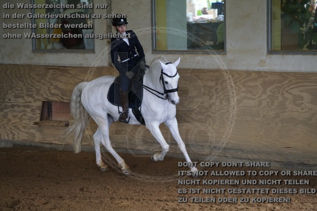 s_K3F03890.JPG